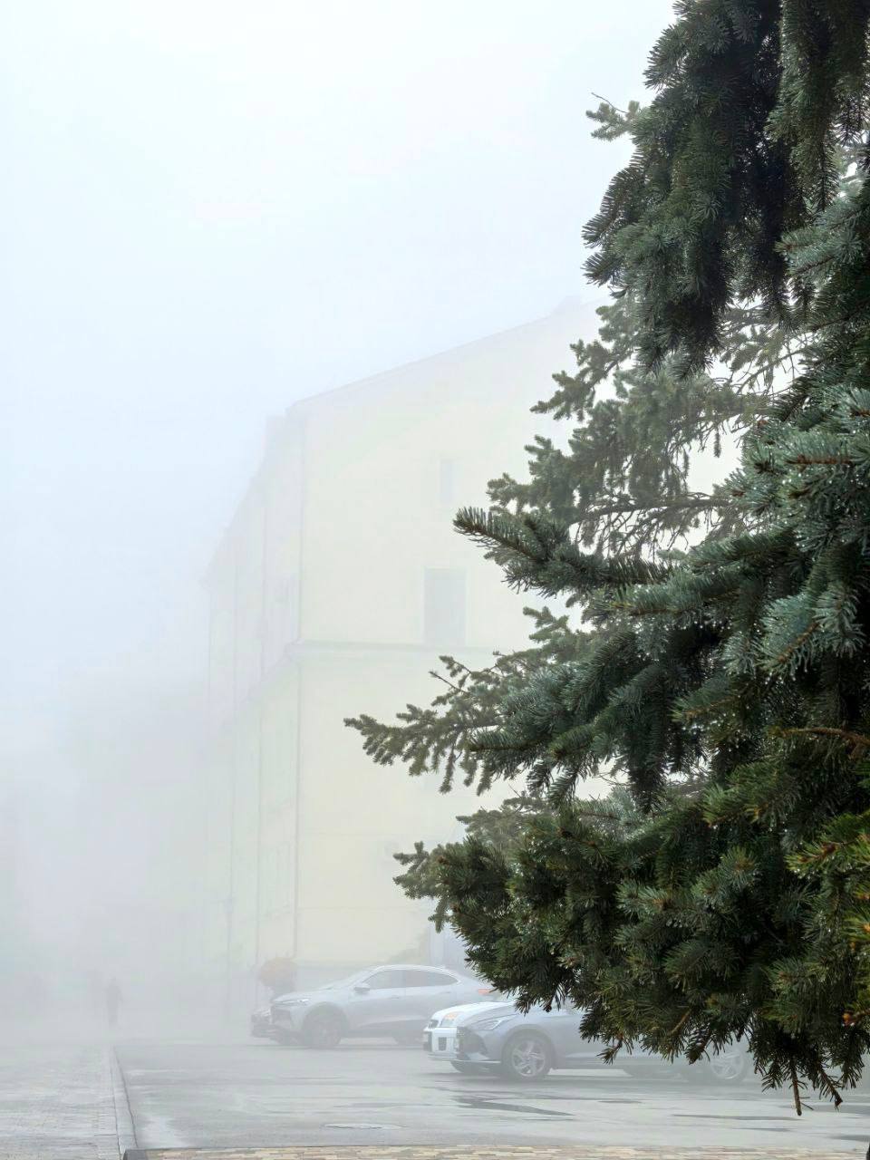 Туманное утро в Ставрополе Туманное утро в Ставрополе