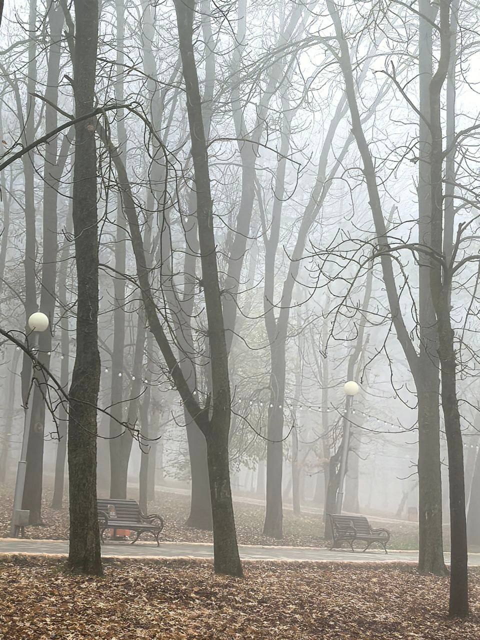 Туманное утро в Ставрополе Туманное утро в Ставрополе