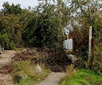 В результате вмешательства прокуратуры в Светлограде ликвидирована свалка