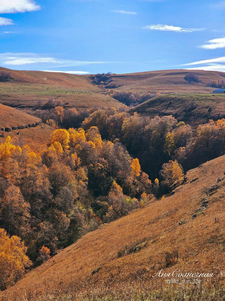 Берёзовское ущелье в Кисловодке Берёзовское ущелье в Кисловодке