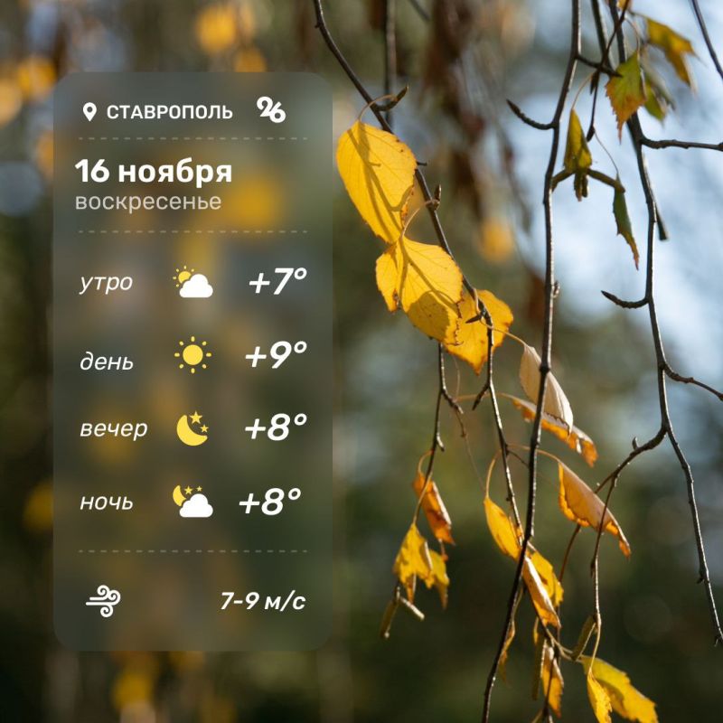 Доброе утро. Подпишись на «Победу26» в Max