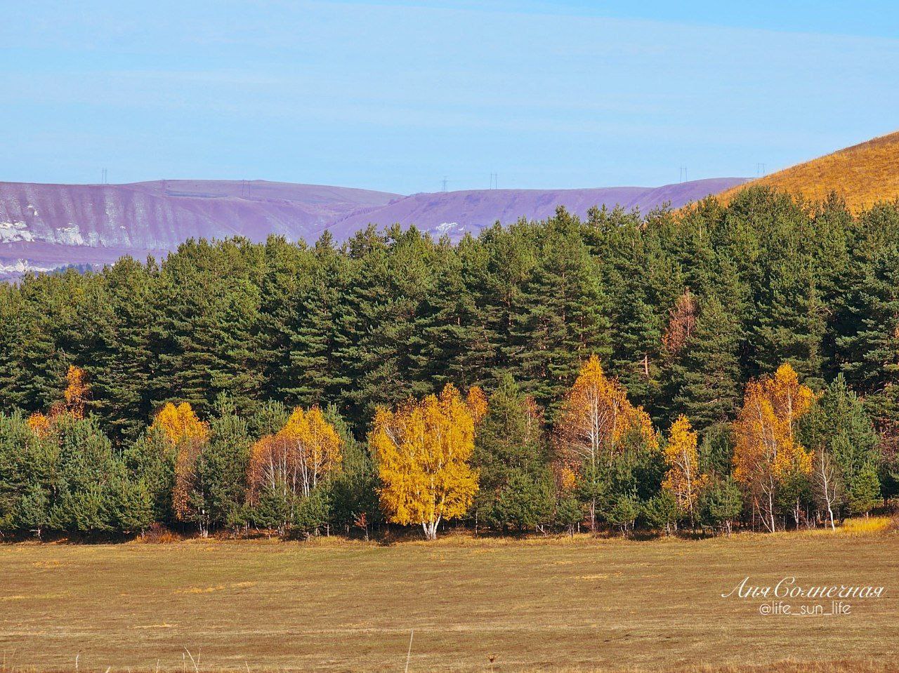 Берёзовское ущелье в Кисловодке Берёзовское ущелье в Кисловодке