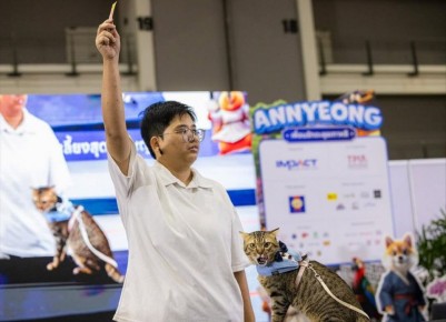 В Таиланде прошел чемпионат по скоростному поеданию вкусняшек среди домашних животных