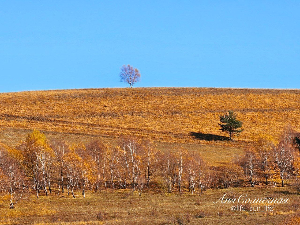 Берёзовское ущелье в Кисловодке