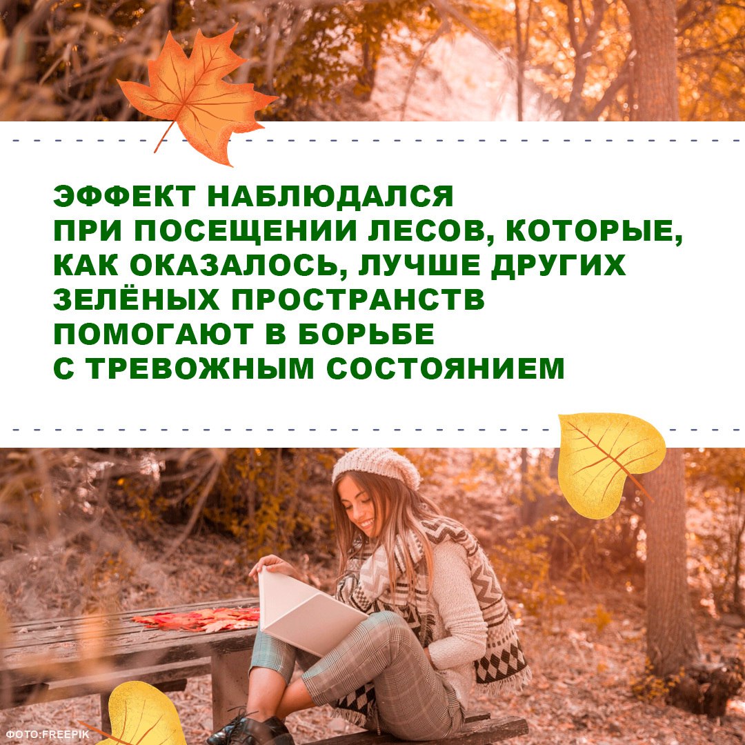 Природа лечит душу. Вы знали, что прогулка среди деревьев снижает уровень стресса сильнее, чем сеанс массажа? Сегодня поговорим о том, как контакт с природой помогает нам восстанавливать эмоциональное равновесие и... Природа лечит душу. Вы знали, что прогулка среди деревьев снижает уровень стресса сильнее, чем сеанс массажа? Сегодня поговорим о том, как контакт с природой помогает нам восстанавливать эмоциональное равновесие и...