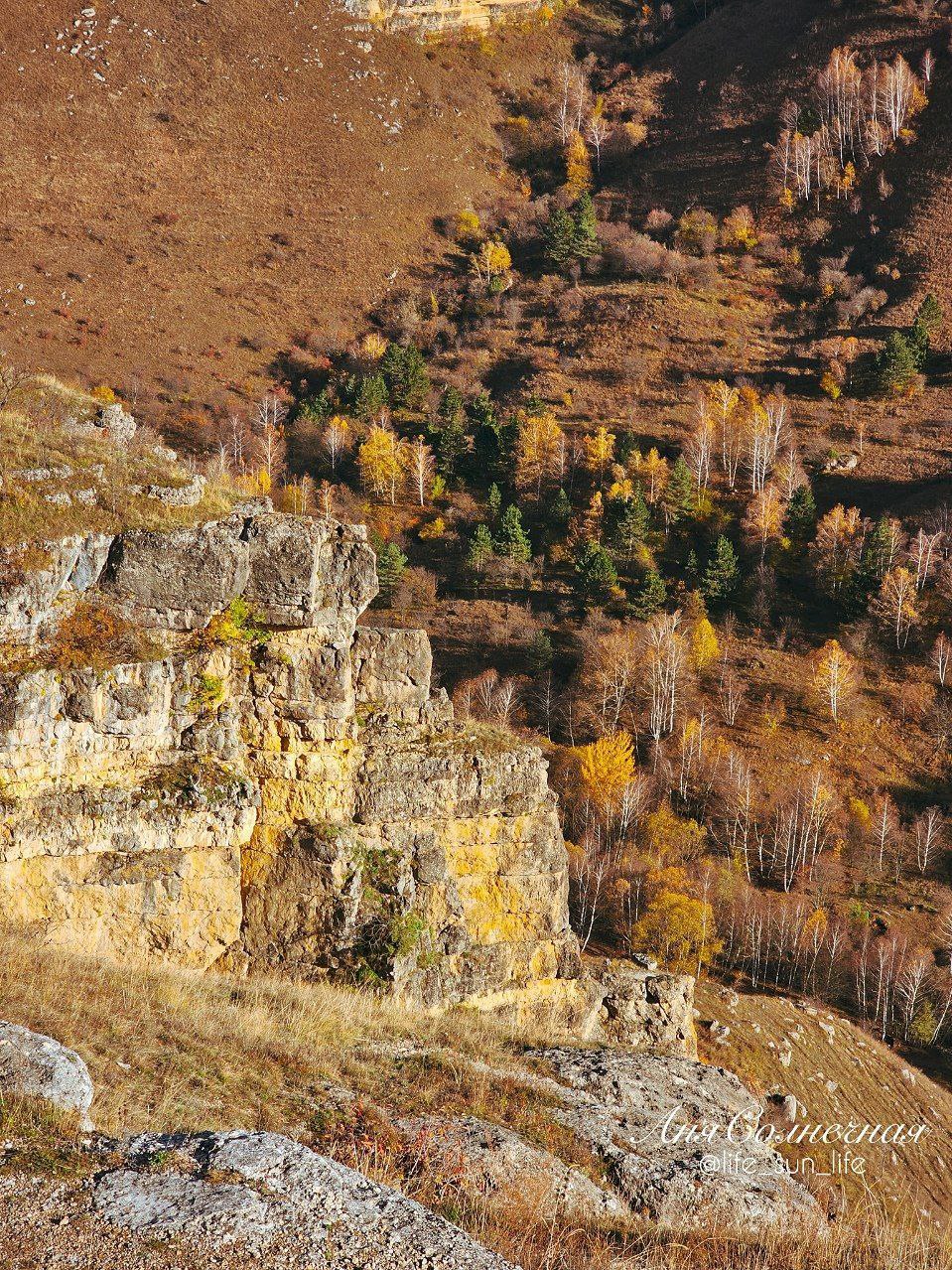 Берёзовское ущелье в Кисловодке Берёзовское ущелье в Кисловодке