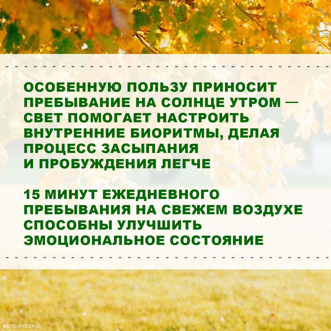 Природа лечит душу. Вы знали, что прогулка среди деревьев снижает уровень стресса сильнее, чем сеанс массажа? Сегодня поговорим о том, как контакт с природой помогает нам восстанавливать эмоциональное равновесие и... Природа лечит душу. Вы знали, что прогулка среди деревьев снижает уровень стресса сильнее, чем сеанс массажа? Сегодня поговорим о том, как контакт с природой помогает нам восстанавливать эмоциональное равновесие и...