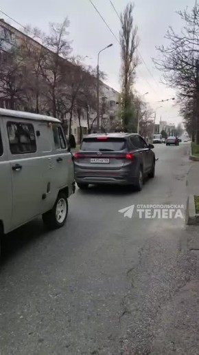 Голубь, переходящий дорогу, спровоцировал небольшой затор на ул.Л.Толстого в краевом центре