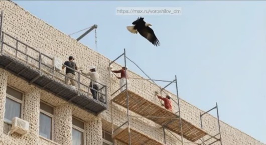 Дмитрий Ворошилов: Прислали «вязаный» вариант моего рабочего видео в канале