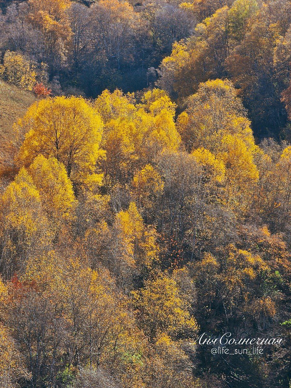Берёзовское ущелье в Кисловодке Берёзовское ущелье в Кисловодке