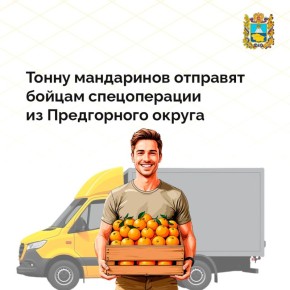 Предгорный округ готовит к отправке в зону СВО целую тонну мандаринов