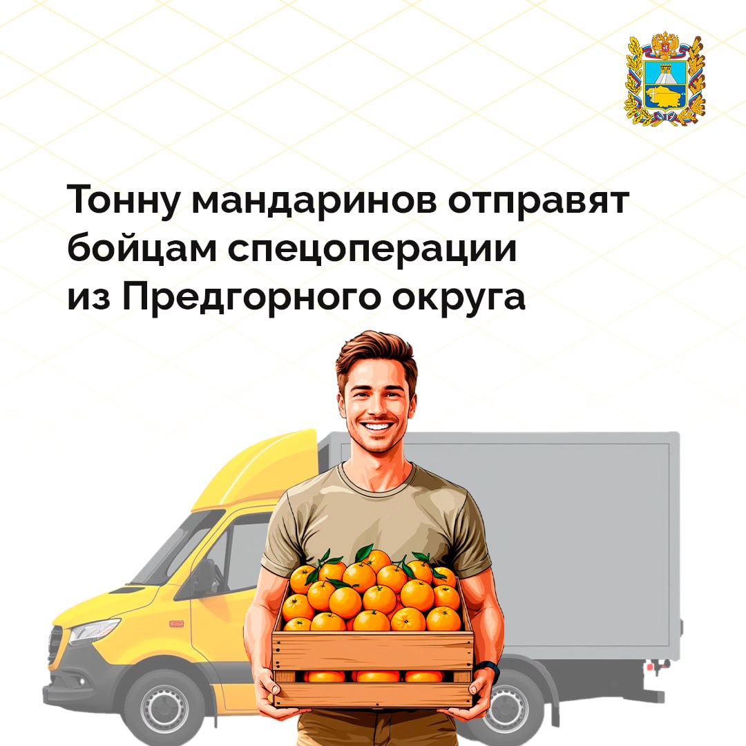 Предгорный округ готовит к отправке в зону СВО целую тонну мандаринов