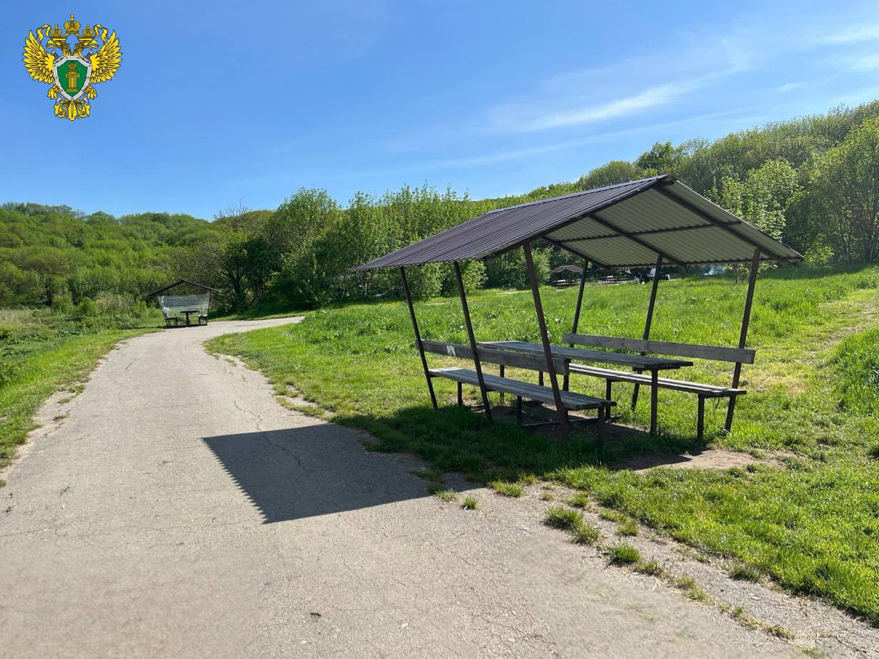 Владельца незаконной зоны отдыха на Елагином пруду в Ставрополе обязали освободить участок