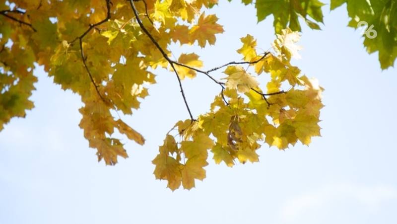 Температура воздуха поднимется до +19 в начале недели на Ставрополье