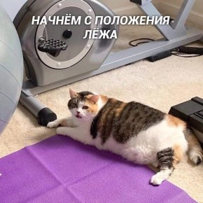 Ставрополье оказалось одним из самых ЗОЖных регионов России