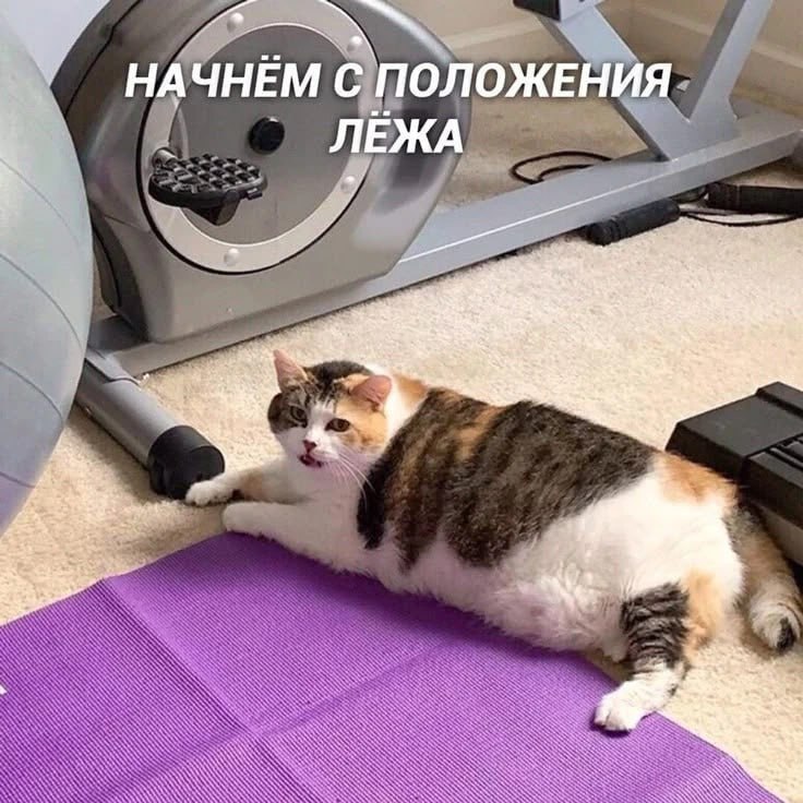 Ставрополье оказалось одним из самых ЗОЖных регионов России