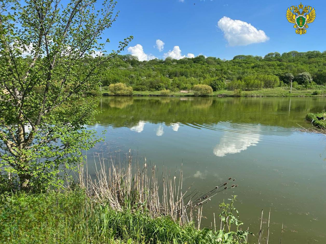 Владельца незаконной зоны отдыха на Елагином пруду в Ставрополе обязали освободить участок Владельца незаконной зоны отдыха на Елагином пруду в Ставрополе обязали освободить участок