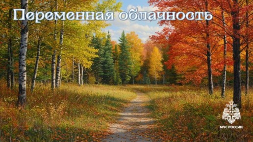 #МЧС26Прогноз. по данным Ставропольского ЦГМС: 18 НОЯБРЯ в крае переменная облачность, преимущественно без осадков, ночью и в первой половине дня места-ми туман