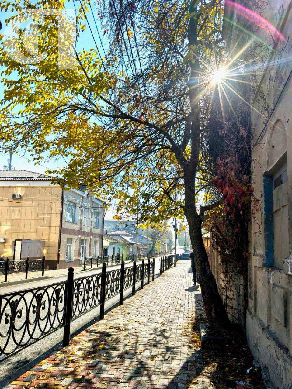 А в Ставрополе вновь по-весеннему тепло А в Ставрополе вновь по-весеннему тепло