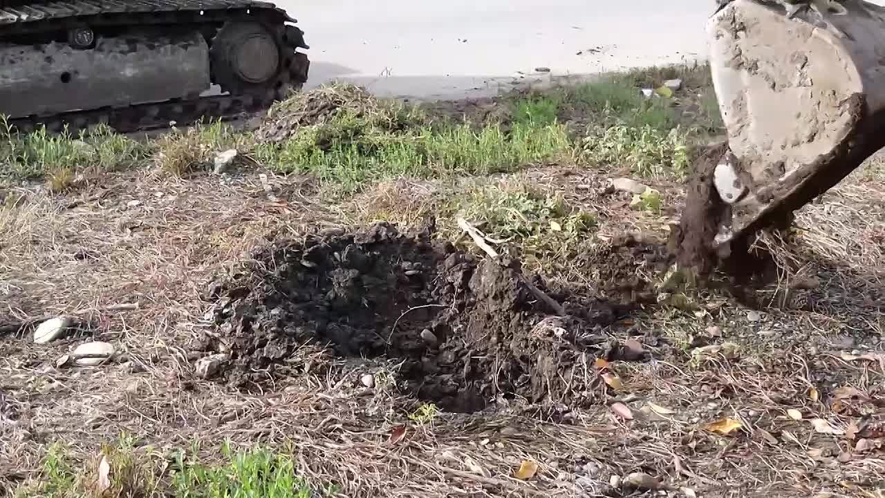 Впервые с начала 80-х годов в Кочубеевке массово озеленят улицы!