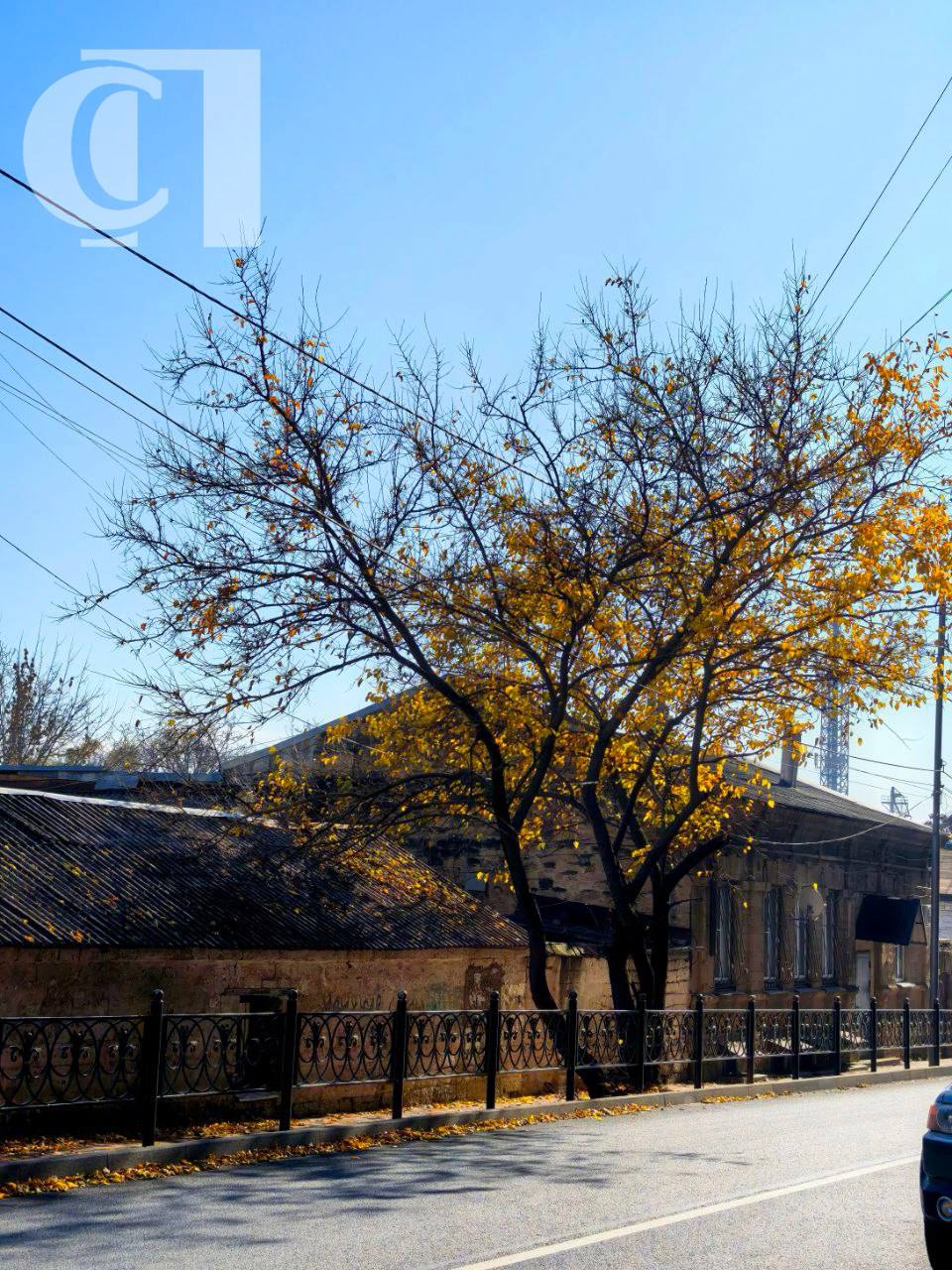 А в Ставрополе вновь по-весеннему тепло