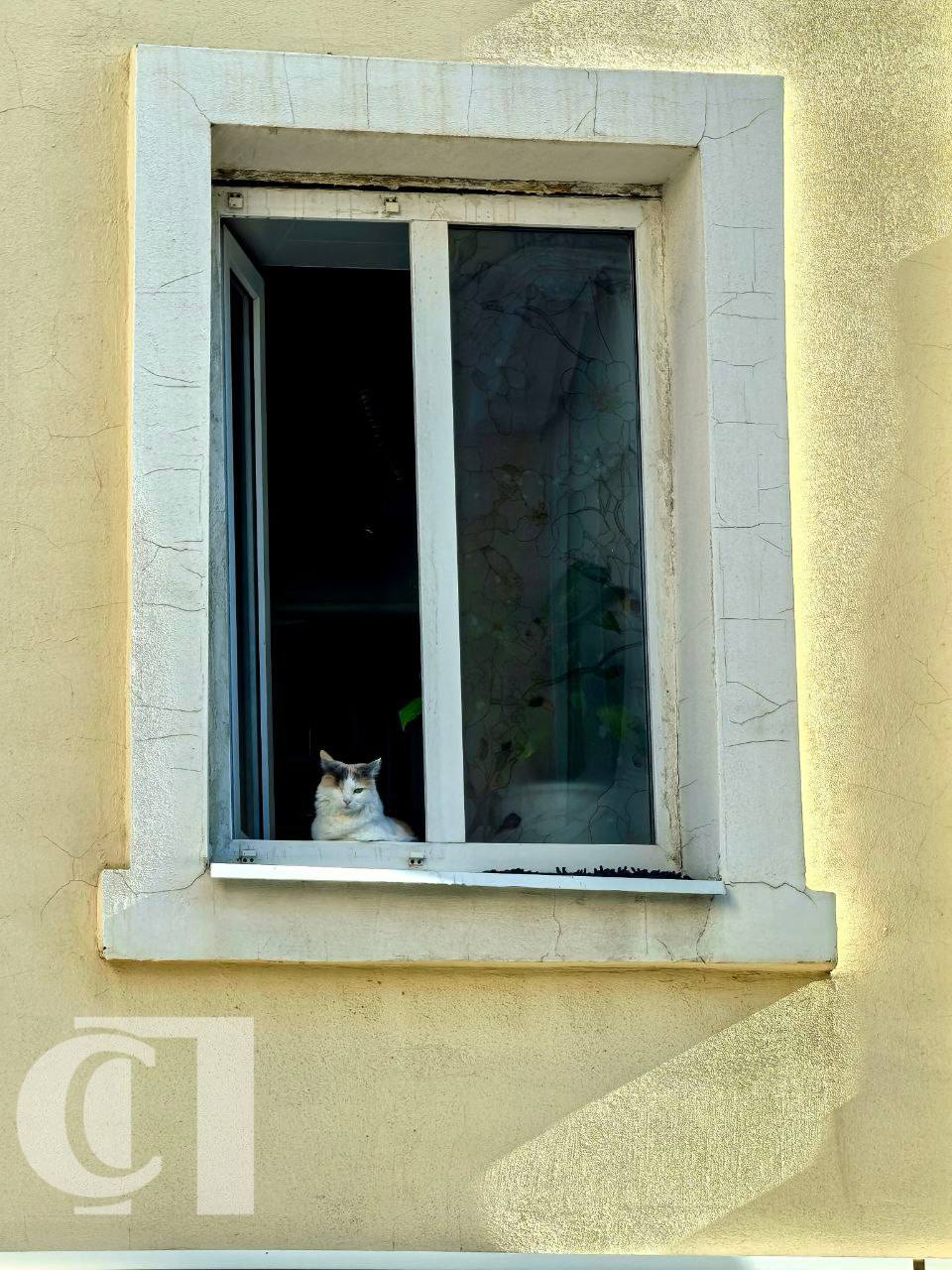 А в Ставрополе вновь по-весеннему тепло А в Ставрополе вновь по-весеннему тепло