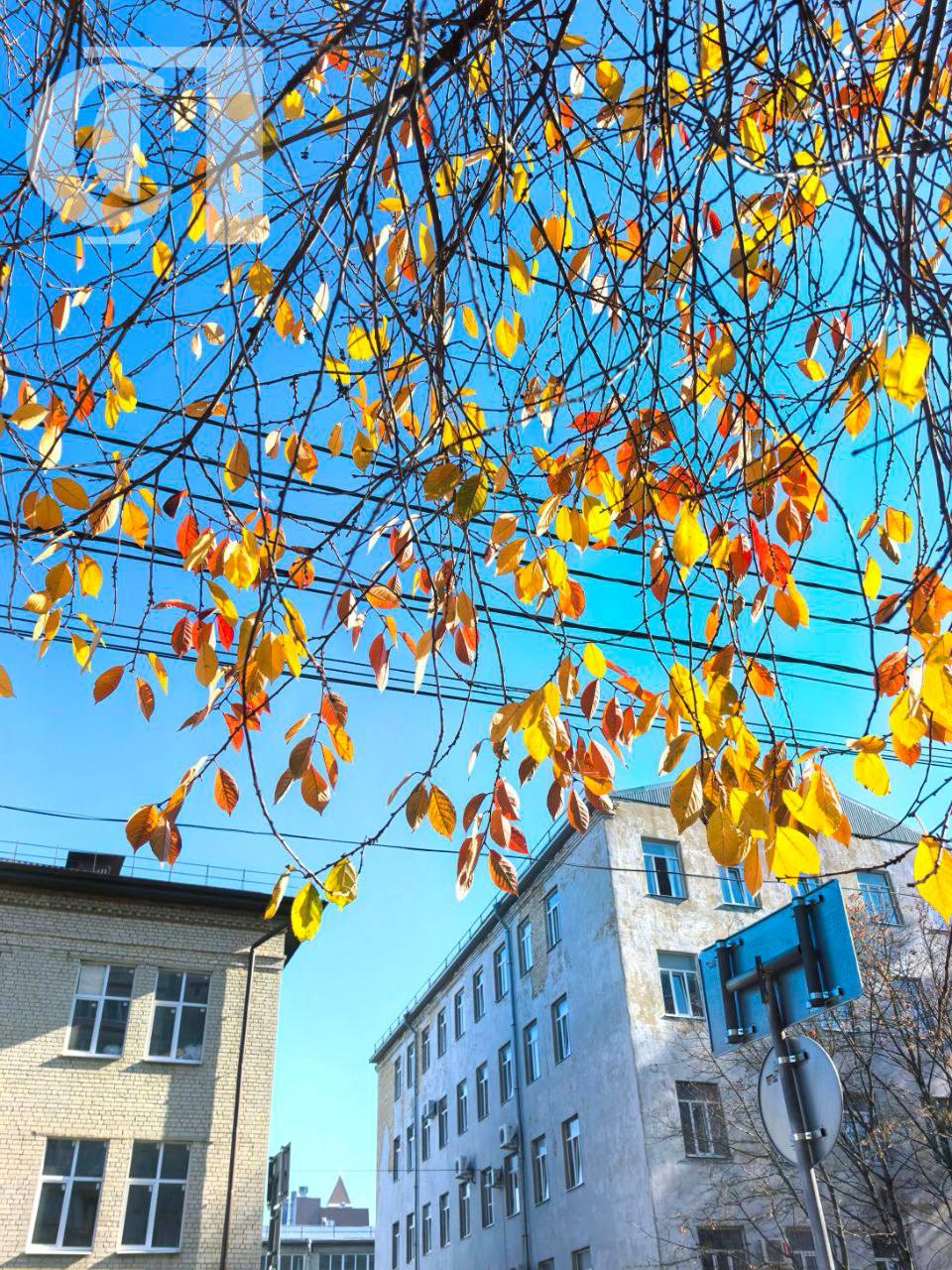А в Ставрополе вновь по-весеннему тепло А в Ставрополе вновь по-весеннему тепло