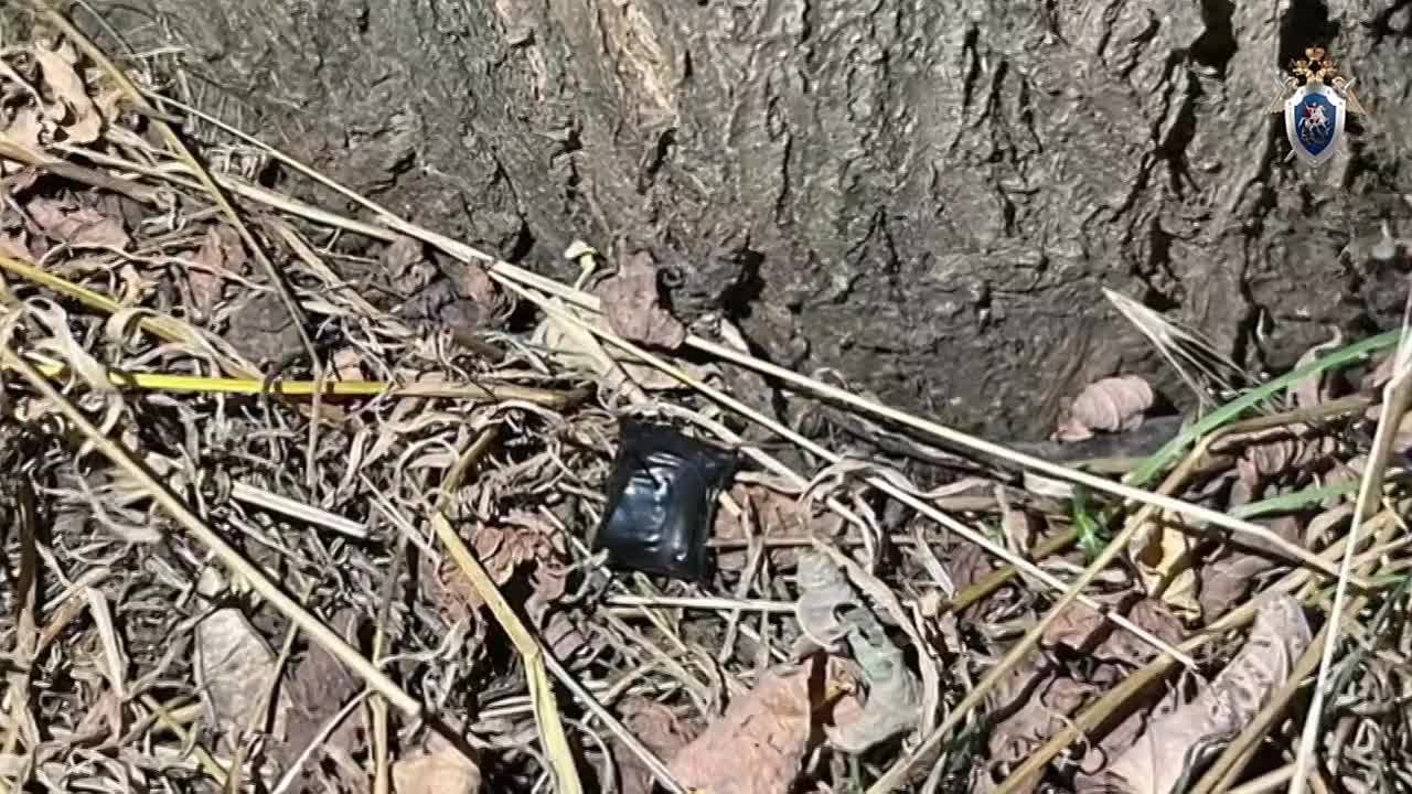 Подростки из Ипатово обвиняются в 37 покушениях на сбыт наркотических веществ