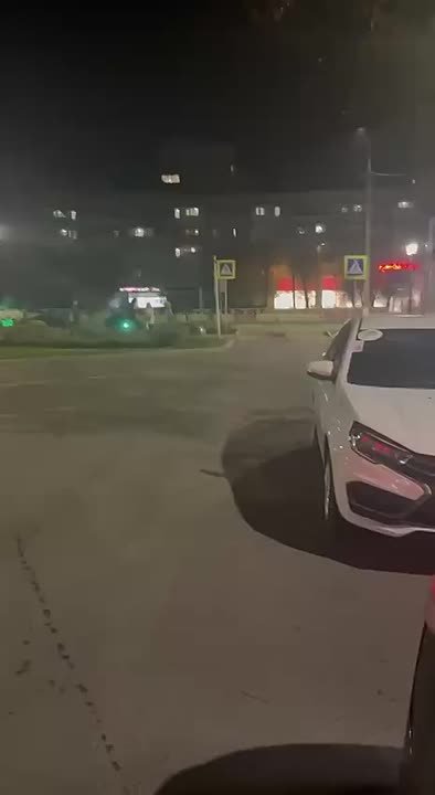 Гусыня стала символом соблюдения ПДД в Невинномысске