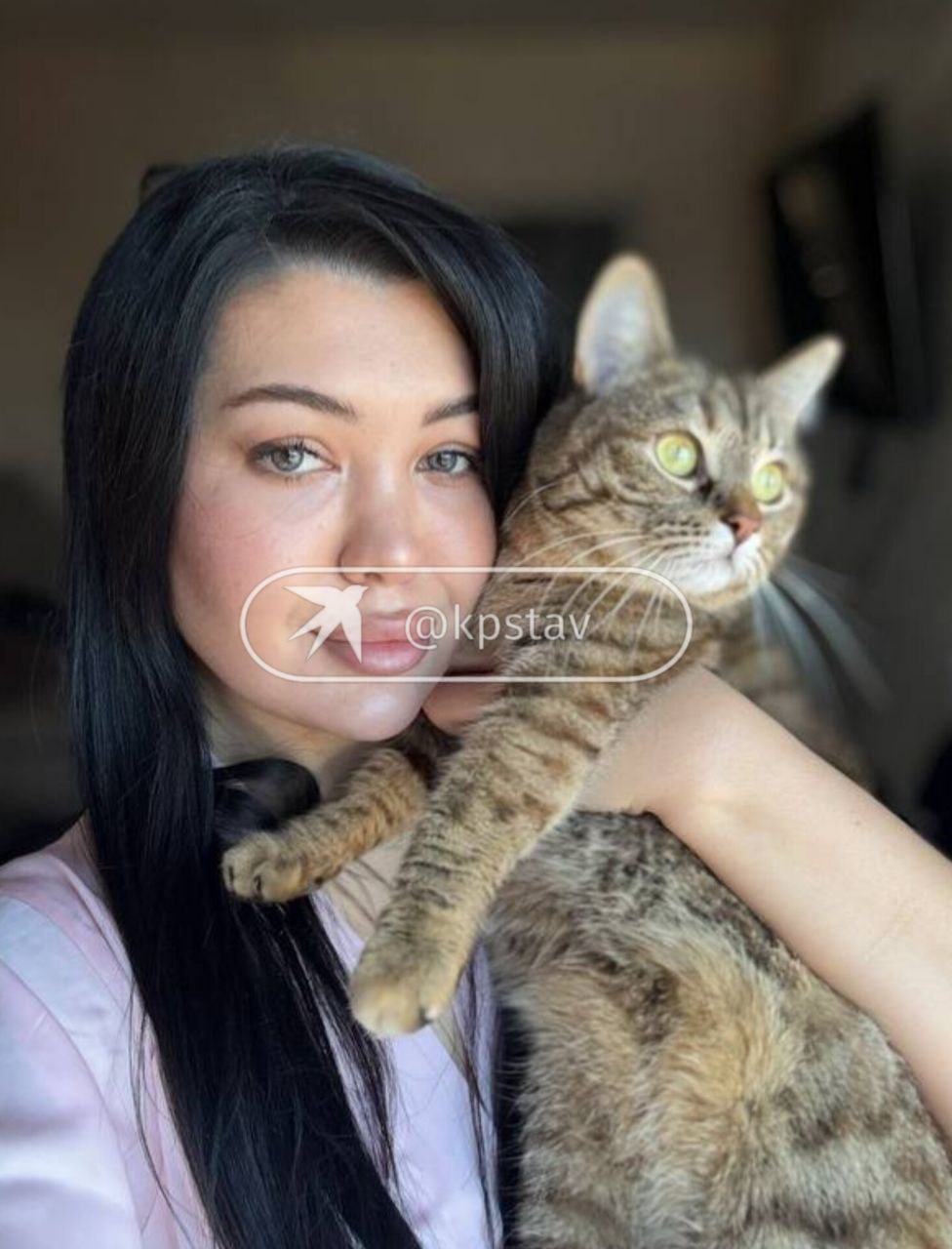 Хозяева питомцев, погибших после лечения в ставропольской ветклинике, нашли более 50 таких же пострадавших Хозяева питомцев, погибших после лечения в ставропольской ветклинике, нашли более 50 таких же пострадавших