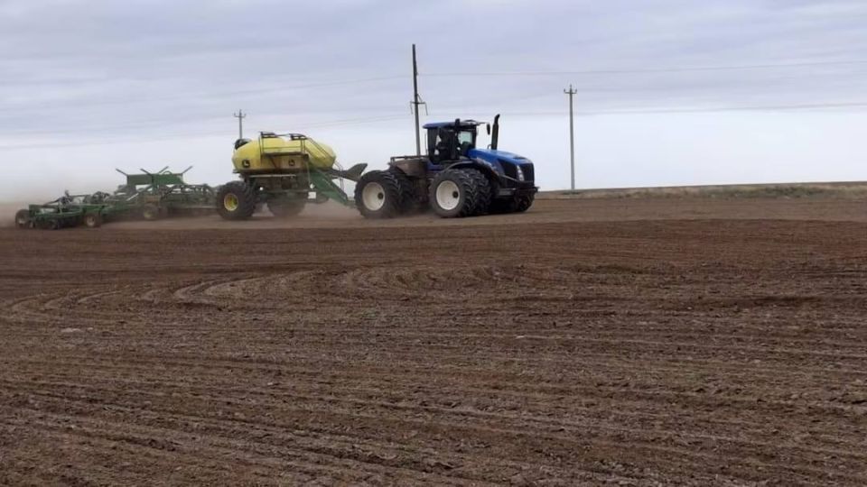 На Ставрополье завершён сев озимых культур