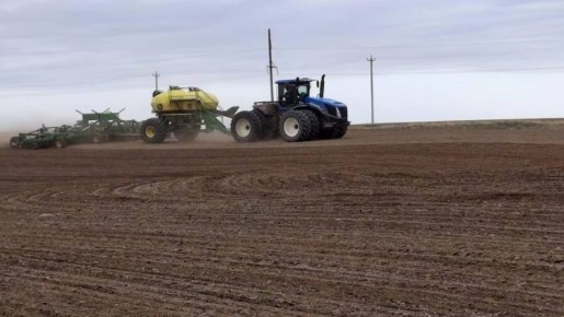 На Ставрополье завершён сев озимых культур