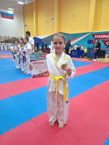 Открытые краевые соревнования по тхэквондо МФТ среди юниоров и юниорок, юношей и девушек прошли 15 ноября 2025 года в г. Невинномысск, наши спортсмены показали достойные результаты: