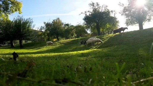 По данным синоптиков, завтра на Ставрополье преимущественно без осадков, утром местами туман