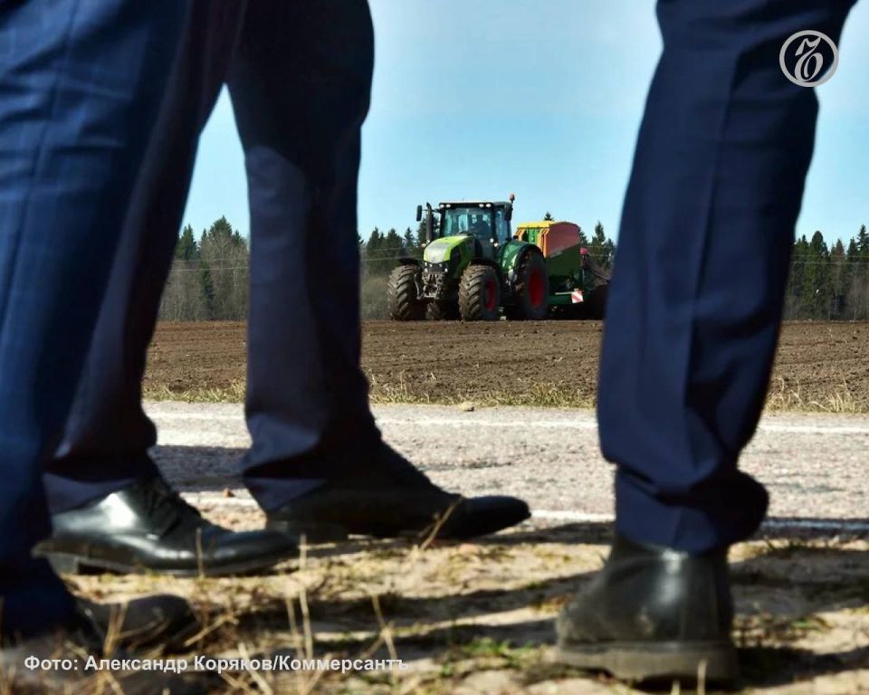 На Ставрополье глава КФХ получил право на аренду 94 гектаров без торгов