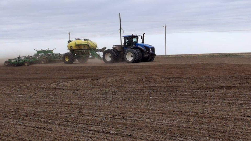 Аграрии Ставрополья засеяли озимые культуры на 2 млн гектаров, из них 1,8 млн — пшеница