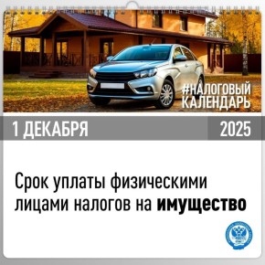 Осталось 10 дней на оплату налогов за 2024 год!