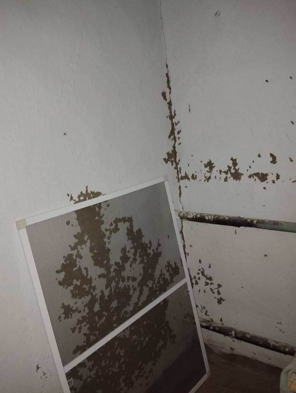 Пожалуйста, помогите! Храму очень нужна ваша помощь Пожалуйста, помогите! Храму очень нужна ваша помощь