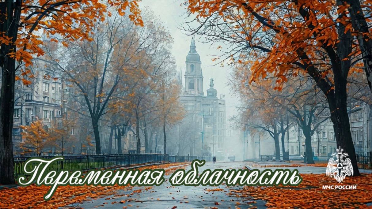 #МЧС26Прогноз. по данным Ставропольского ЦГМС: 22 НОЯБРЯ в крае Переменная облачность, преимущественно без осадков, ночью и в первой половине дня местами туман