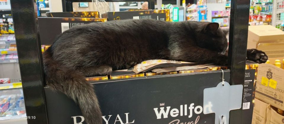 Необычный «товар» замечен в магазине «Магнит»