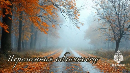 #26.    : 23     ,   ,        