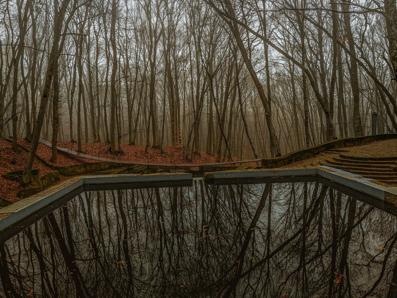Таинственный Таманский лес в Ставрополе