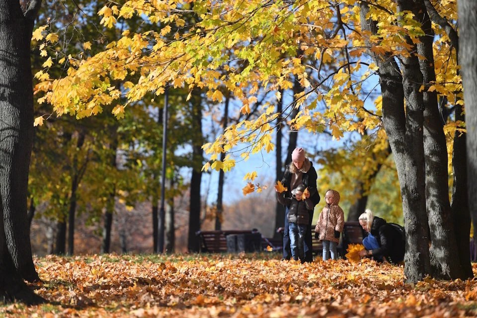 Резкое похолодание сменит жару на Ставрополье в начале недели