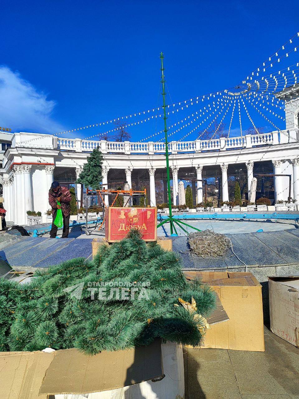 В Кисловодске возле Колоннады устанавливают ёлочку