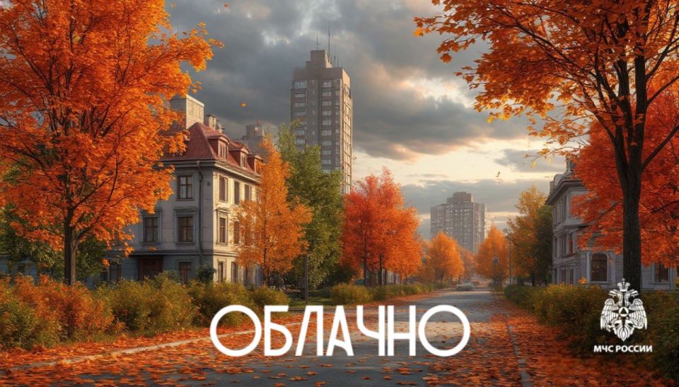 #26.    : 6     ,   ,     