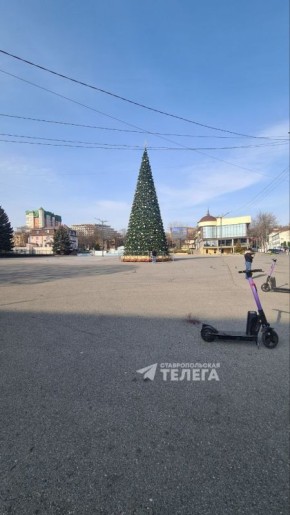 Новогоднюю ёлку установили на главной площади в Ессентуках
