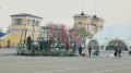 Новогоднюю ёлку начали устанавливать в центре Ставрополя