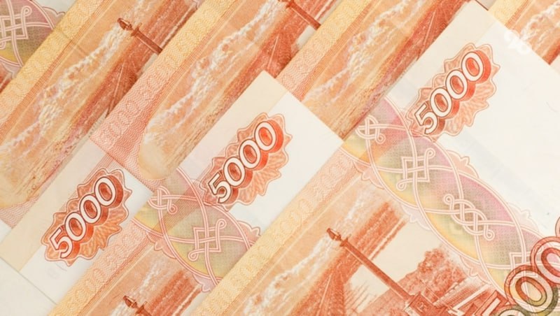 Глава КФХ на Ставрополье четыре раза незаконно получила субсидии от государства