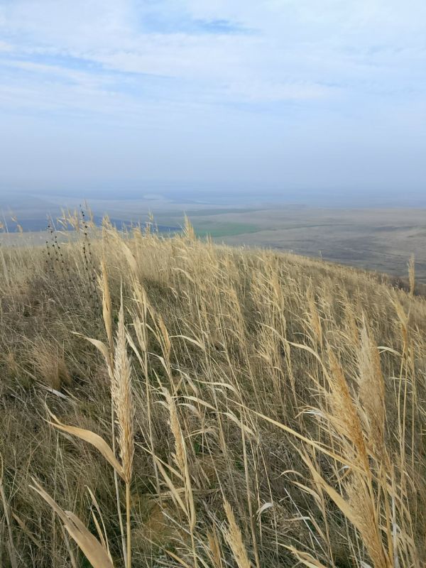  . Svetlana Ten     MAX