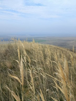  . Svetlana Ten     MAX